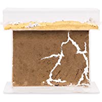 AntHouse - Hormiguero Natural de Arena - Kit T Big Acrílico 25x20x1-5 cm (Hormigas Gratis)